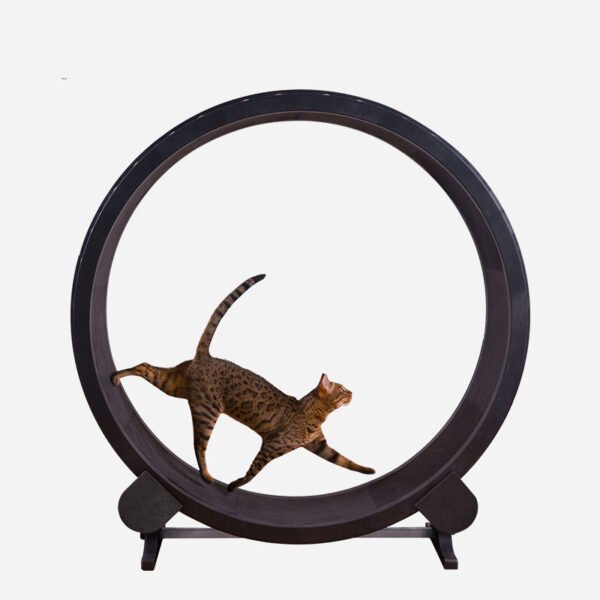 Pet Cat Running Wheel Fitness Toys - Image 3