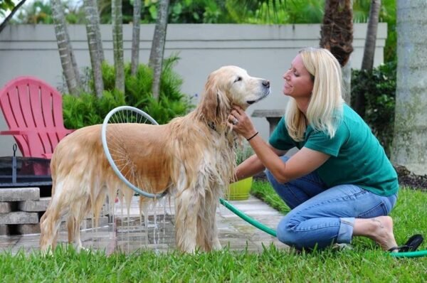 Fully automatic 360 degree pet supplies bath ring - Image 2