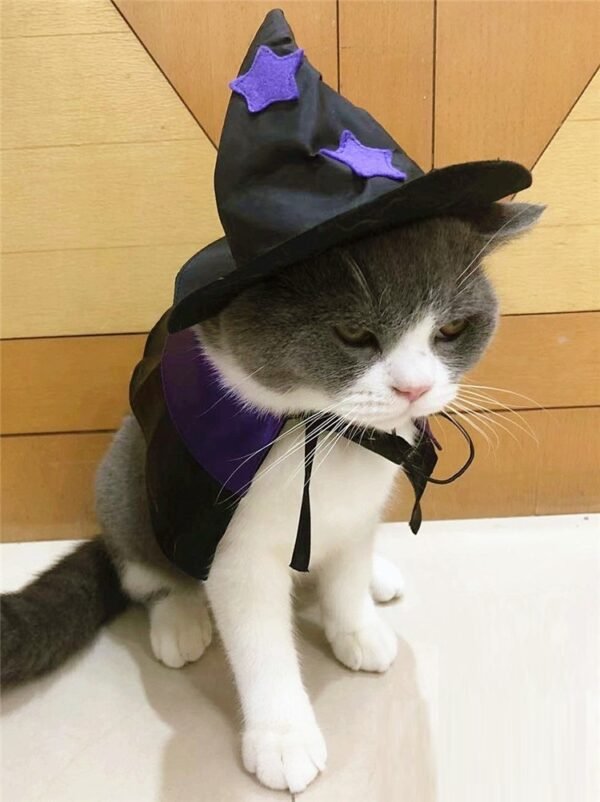Pet Halloween Wizard Dressup Decoration Set - Image 4