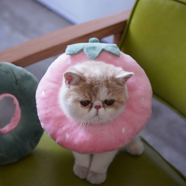 Elizabethan circle cat shame collar cat soft cloth - Image 2