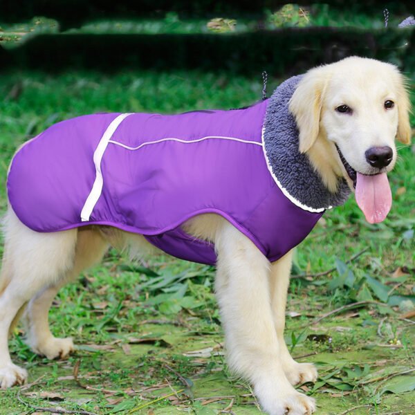 Reflective warm clothing for big dog - Image 4