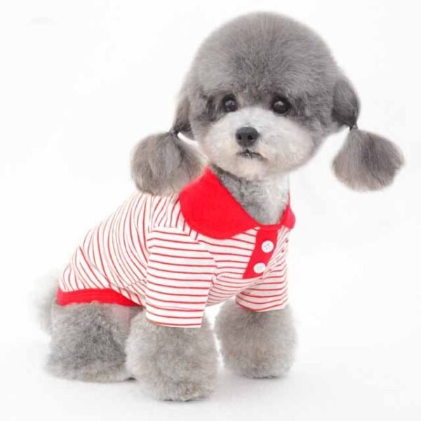 Clothes For Pets - Image 3