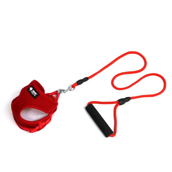 Dog leash & harness - Image 2