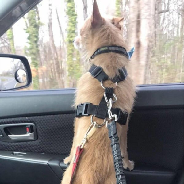 Adjustable Dog Seat Belt Dog Car Seatbelt Harness Leads Elastic Reflective Safety Rope - Image 9