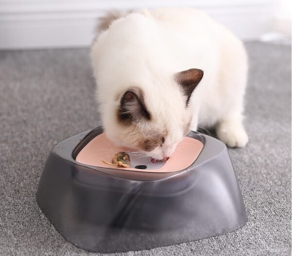 Pet Dog Bowl Floating Not Wetting Mouth Cat Bowl No Spill Drinking Water Feeder - Image 2