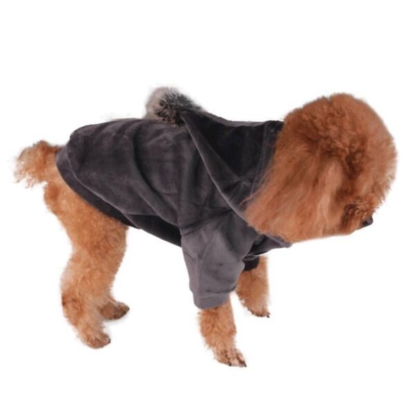 Hot dog clothes - Image 3