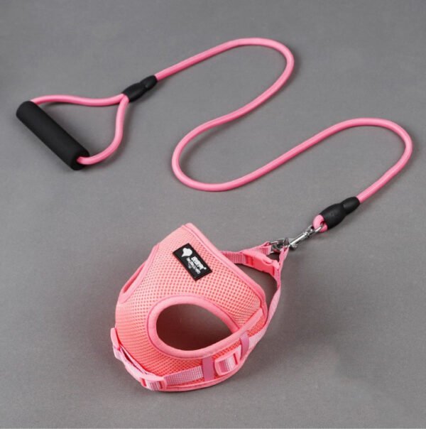 Dog leash & harness - Image 5
