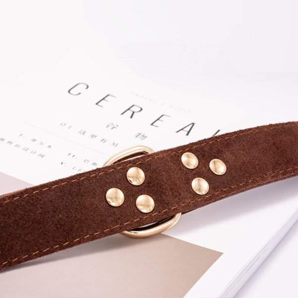 Dog collar - Image 4