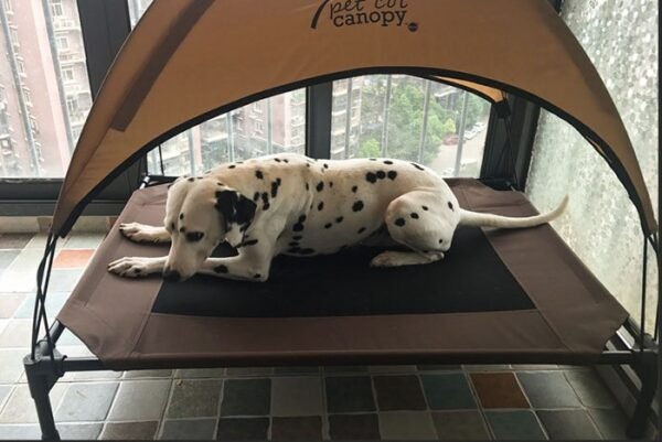 Pet bed dog moisture-proof removable washable stack dog bed Oxford cloth camp bed - Image 6