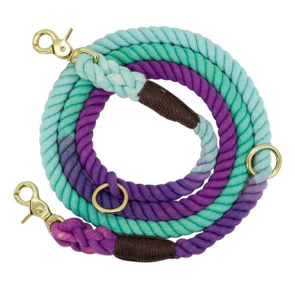Gradient Color Dog Collars Accessories Leashes Rope Metal Chain Collar Strap Pet Outdoor Walking Training Long Traction Rope - Image 5