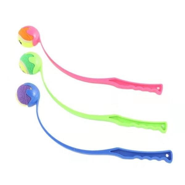 Outdoor Pet Throwing Cue Dog Training Toy - Image 6
