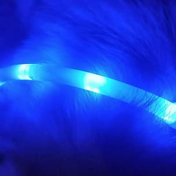 Pet Light Collar Anti-Lost Collar for Dogs Pet Collars - Image 5