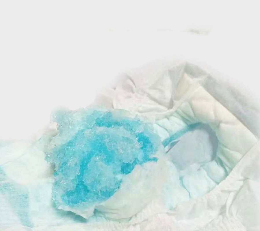 Diapers Pet Diapers Menstrual Pants Bitches 3 Diapers Pet Diapers Menstrual Pants Bitches - Image 3