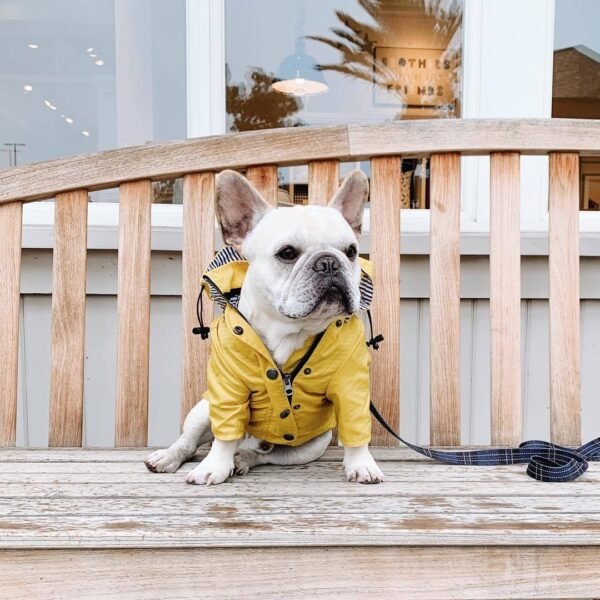 Dog Raincoat Pet Clothes Dog Clothes Rain Water - Image 4
