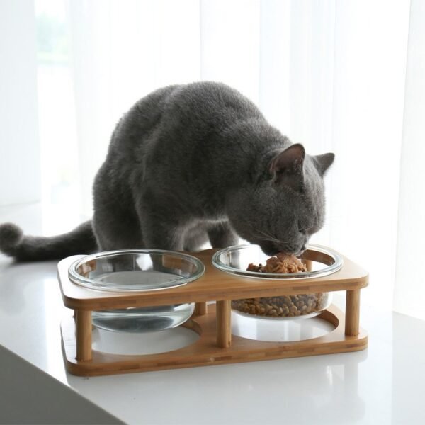 Glass cat bowl cat food bowl cat food bowl - Image 4