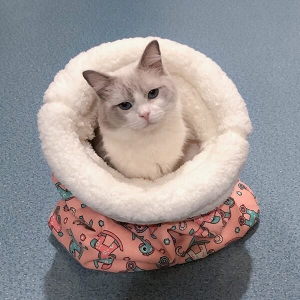 Lambswool Thickened Pocketable New Winter Linen Sleeping Bag Cat Nest - Image 3