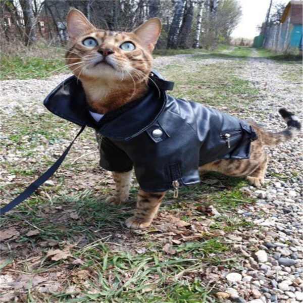 Dog coat - Image 3