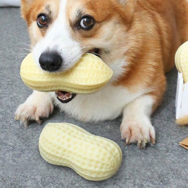 Funny Pet Dog Squeaky Toys For Small Middle Dogs Bite Resistant Puppy Cat Dogs Toys Pets Rubber Peanut Clean Tooth Chew Toy - Image 3