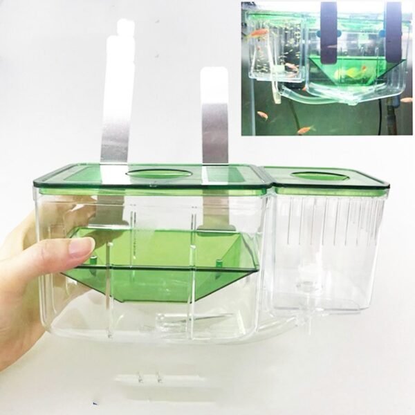 Hatching fish tank guppy sick fish isolation box fighting fish - Image 5