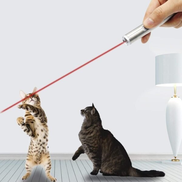 Laser funny cat stick - Image 2