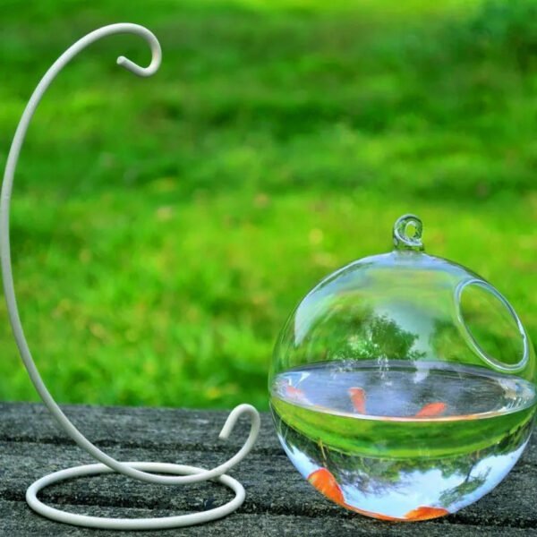 Hanging Glass Vase Fish Tank - Image 5
