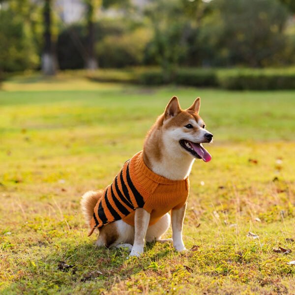 Halloween Dog Sweaters Pet Costume Teddy Warm Leisure Sweater Cosplay Clothes For Dogs Pets Outfits - Image 3