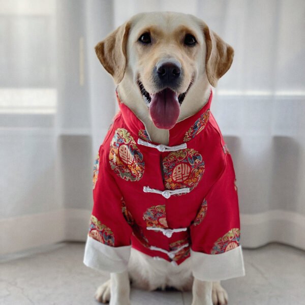 Festive Chinese Style Clothes For Pet Dogs - Image 6