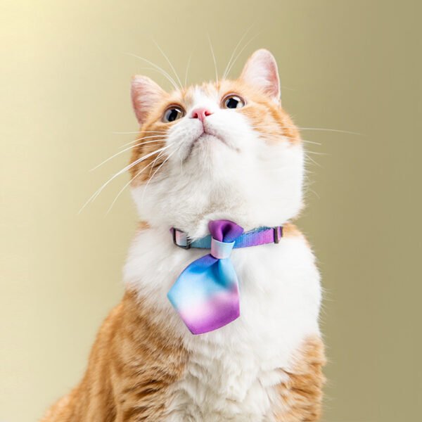 Collar Dog Gentleman Tie Accessories Adjustable Pet Products - Image 5