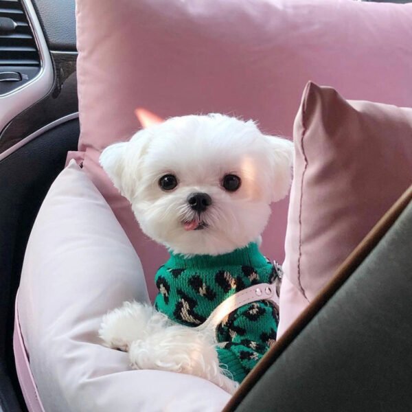 Knitted Dog Leopard-print Sweater Small Dog Pet Dog Cat Clothes - Image 6