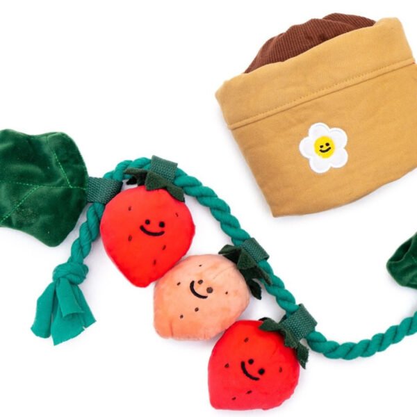 Strawberry Potted Plant Set Tibetan Food BB Called Pull Toy - Image 5