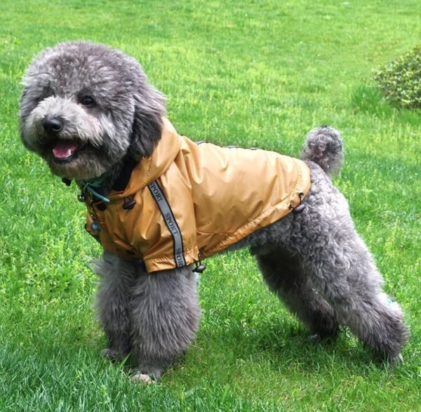 Waterproof Hooded Warm Pet Dog Raincoat - Image 2