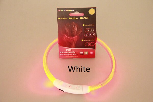 Pet Flashing Collar USB Rechargeable Glowing Necklace Safety Collar Light Up Collars For Night Walking Electric Dog Collar Neon - Image 6