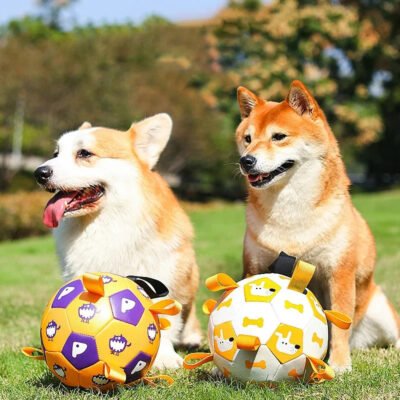 Dog Interactive Football Toys Training Balls Pet Sporty Bite Chew Teething Ball With Cute Printing