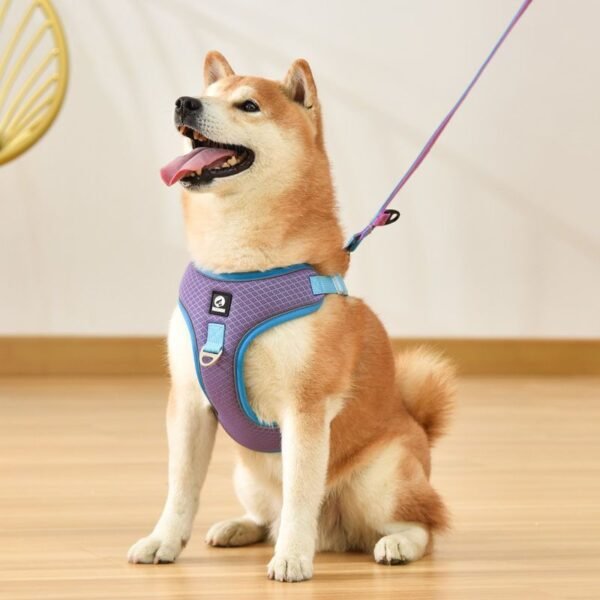 Pet Dog Harness Puppy Adjustable Breathable Mesh Reflective Saddle For Small Medium Dogs Cats Pet Supplies - Image 2