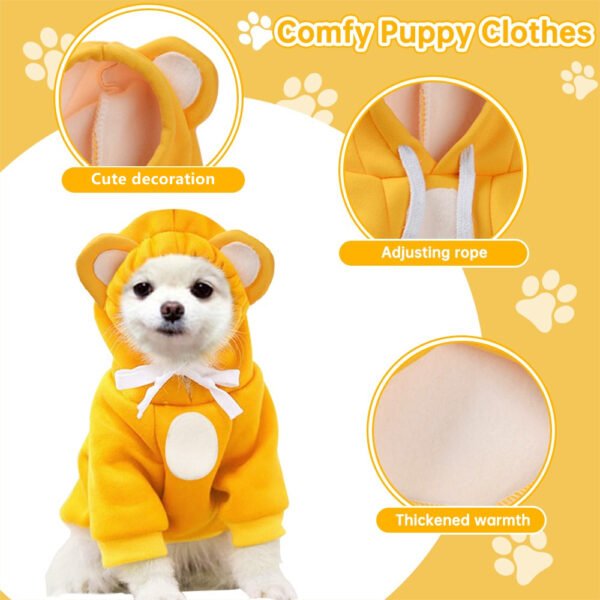 Cute Pets Turn Into Clothes - Image 2