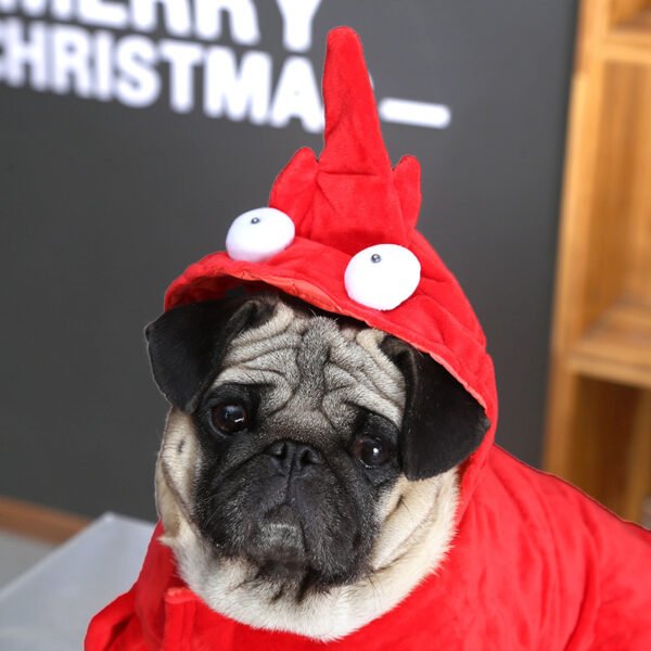 Halloween clothes red Aussie dragon pet clothes - Image 4