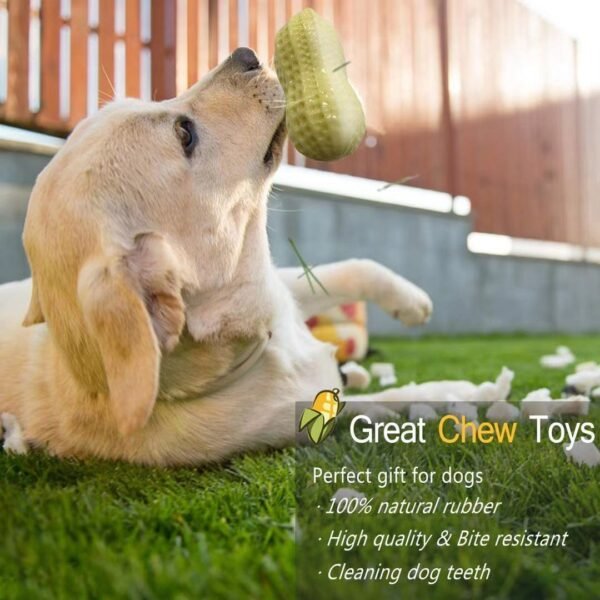Funny Pet Dog Squeaky Toys For Small Middle Dogs Bite Resistant Puppy Cat Dogs Toys Pets Rubber Peanut Clean Tooth Chew Toy - Image 6