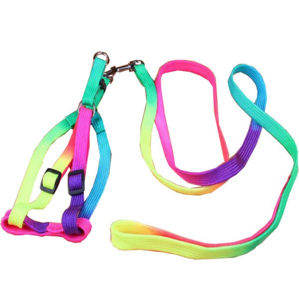 Leashes colorful leashes - Image 3