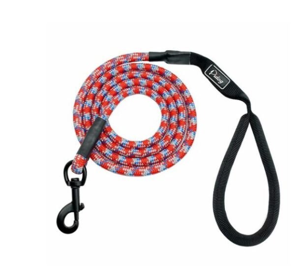 Small, medium and large dogs climbing ropes - Image 7