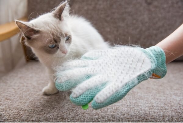 Pet Hair Removal Brush - Image 4