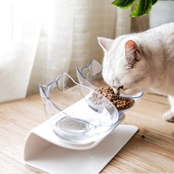 Non Slip Double Cat Bowl With Raised Stand Pet Food Cat Feeder Protect Cervical Vertebra Dog Bowl Transparent Pet Products - Image 2