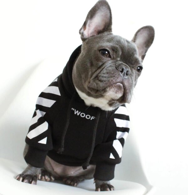 Pet tide brand dog plus velvet thick sweater - Image 5