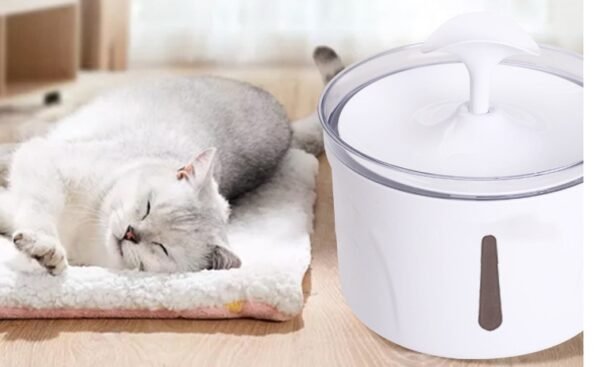 Pet Water Dispenser Intelligent Automatic Circulating Filter Water Dispenser - Image 4