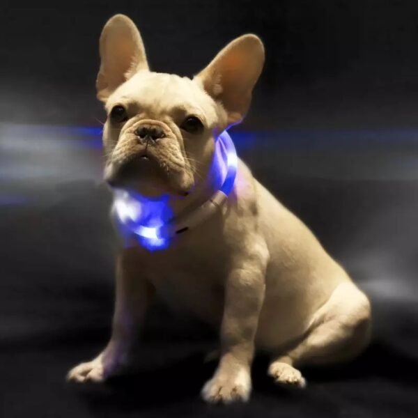 Pet Light Collar Anti-Lost Collar for Dogs Pet Collars - Image 2