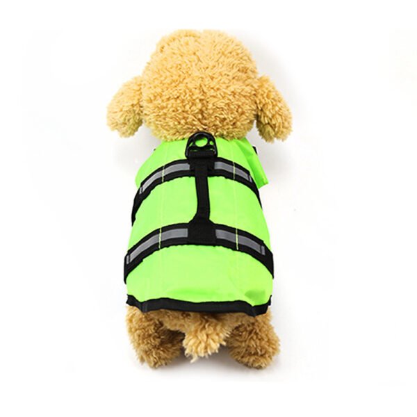 Large and small dogs - Image 3
