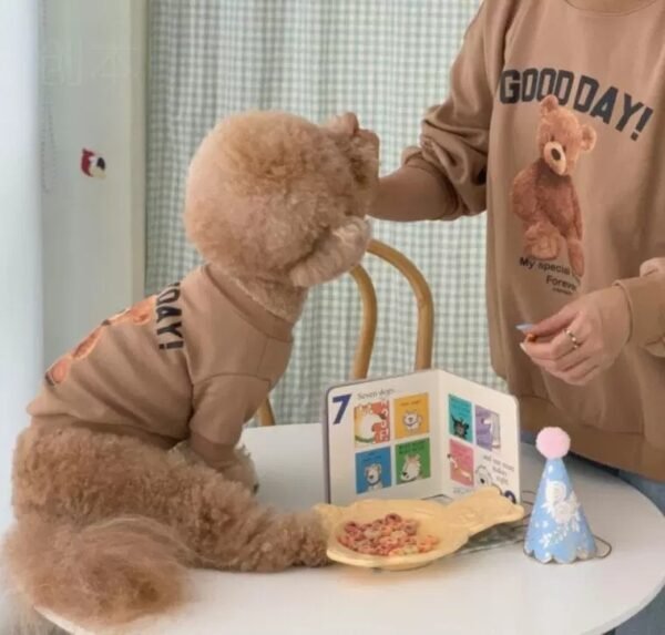 Winter Teddy Bear Cat Dog Pet Clothing - Image 3
