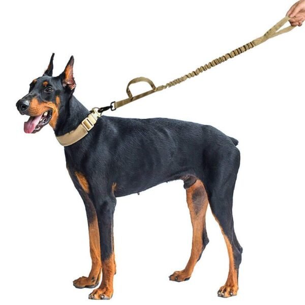 Training Dog Leash - Image 3