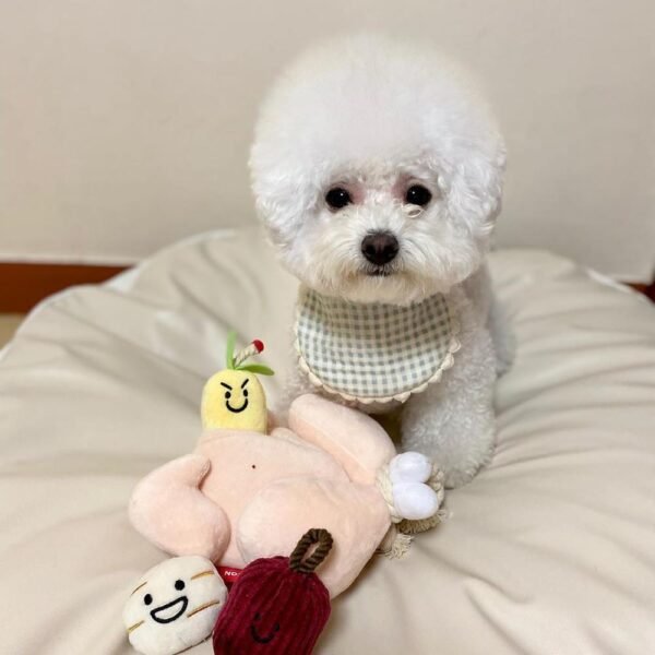 Cartoon Cute Pet Dog Cat Squeaking Plush Sound Toys Chew Throw - Image 3