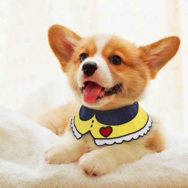 Pet party printed collar - Image 2
