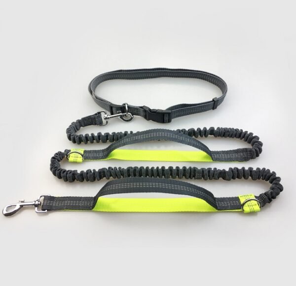 Amazon direct pet supplies multi-function running reflective pull dog leash double elastic dog leash traction - Image 9